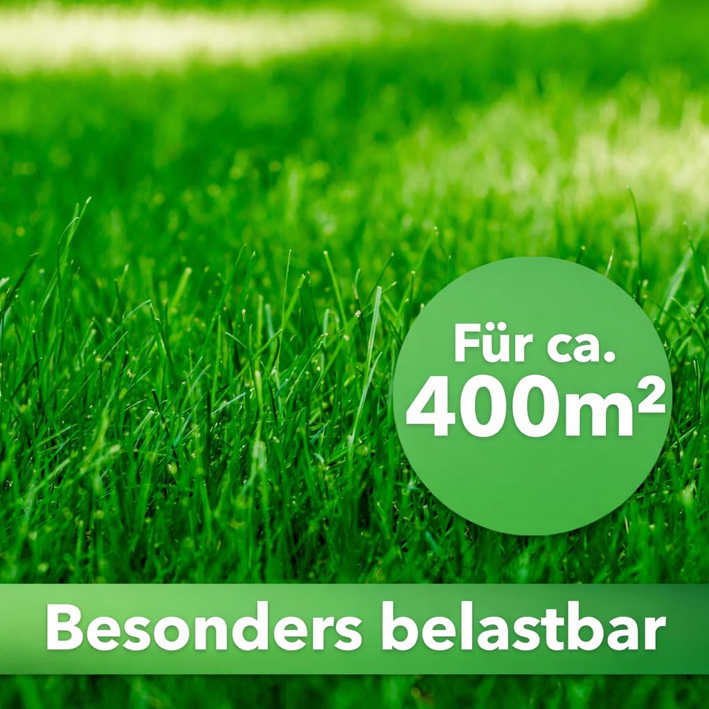 Hesa Césped de uso 10 kg para 400 m², RSM 2.3, césped deportivo y de juego, semillas de césped premium de germinación rápida, semillas de hierba resistentes y robustas en calidad profesional