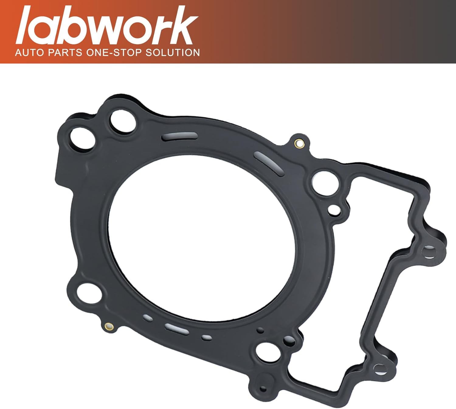 labwork Top End Kit Piston Cylinder Gaskets kit Replacement for Polaris Ranger 570 2014-2019 ACE 570 2016-2019 Sportsman 570 2014-2019 Replacement for 3022860