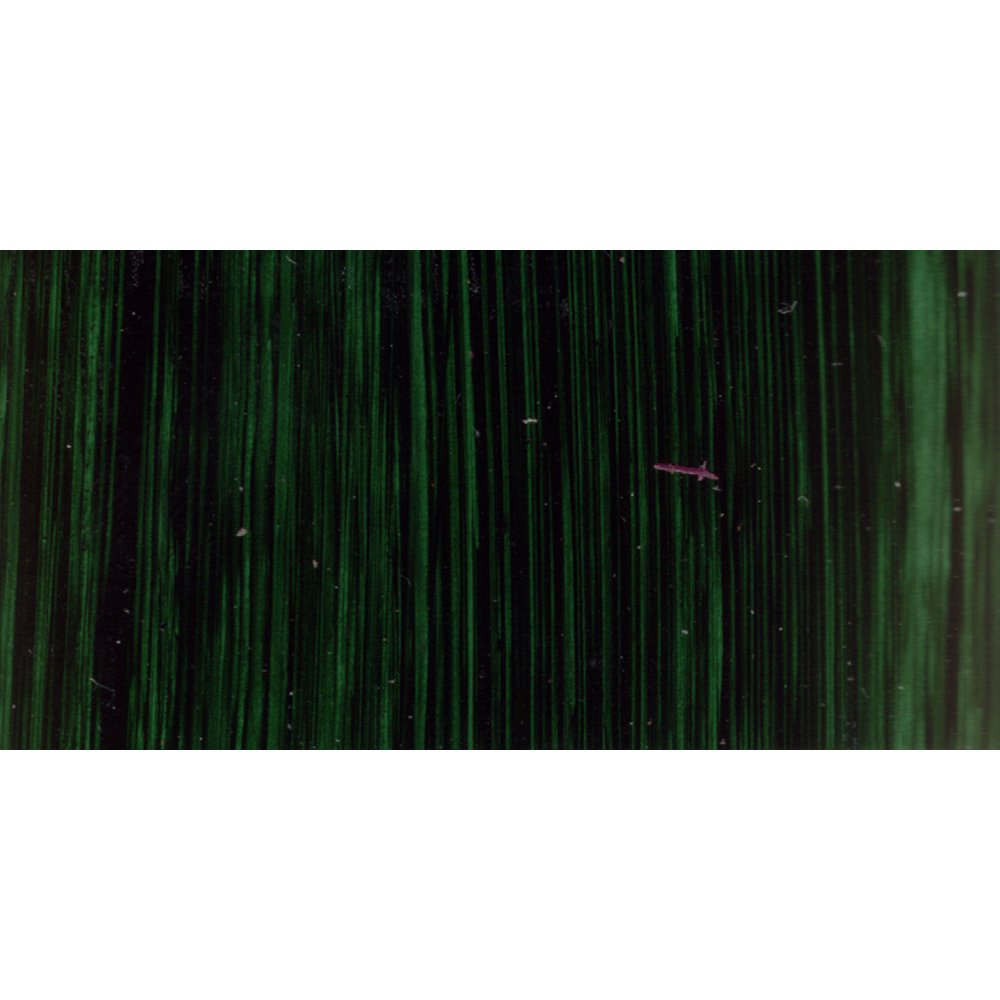 Michael Harding : Oil Paint : 225ml : Permanent Sap Green