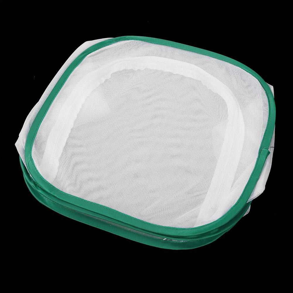 Grande Cage d'habitat pour Insectes et Papillons, Cage d'élevage ventilée avec matériau en de Fil de Polyester, Habitat Portable en Chenille, pour cultiver des Insectes (30 x 30 x 30 cm)
