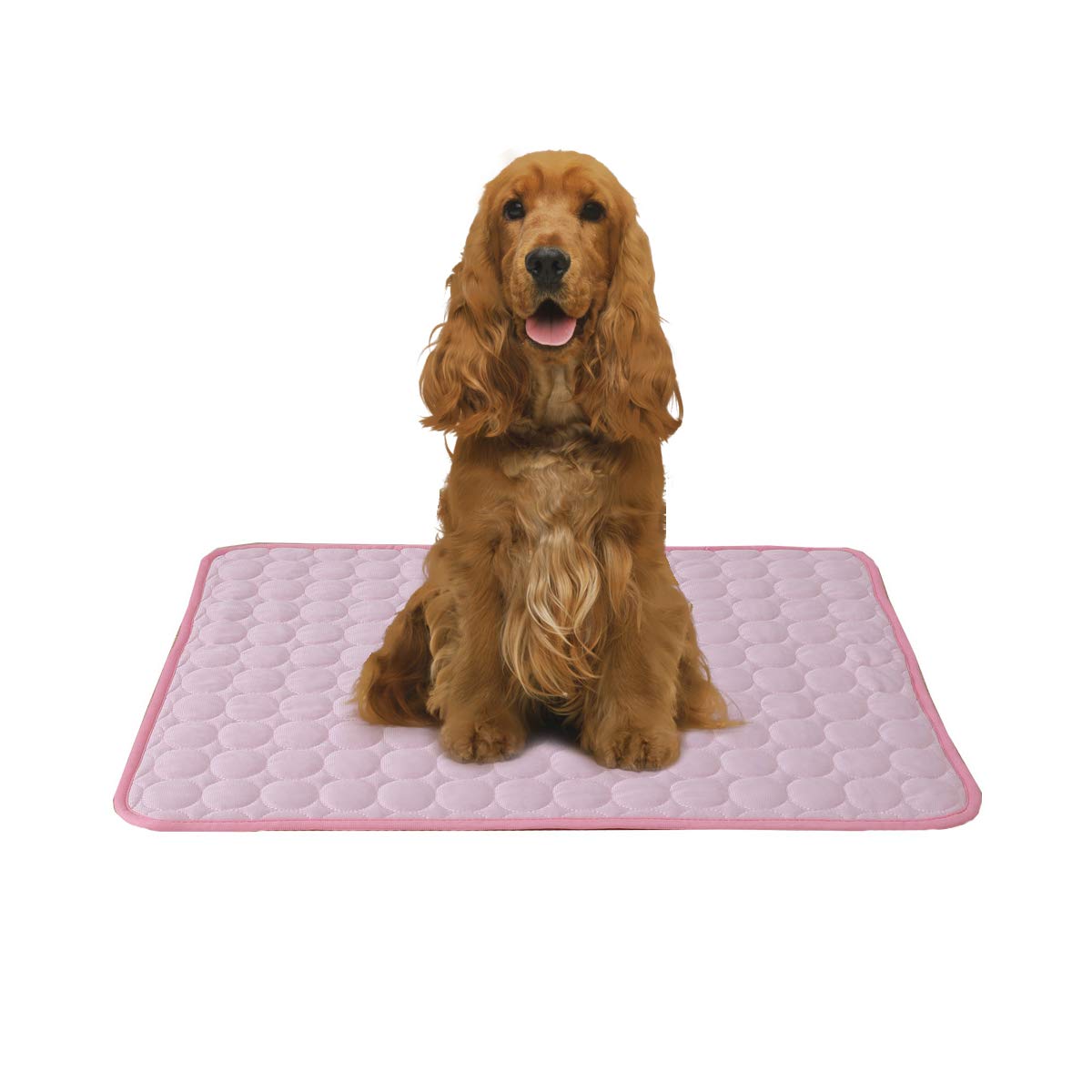 PETCUTE Tapis de Refroidissement pour Chien Coussin Refroidissement pour Animaux domestiques Coussin rafraîchissant Tapis rafraîchissant de Chats