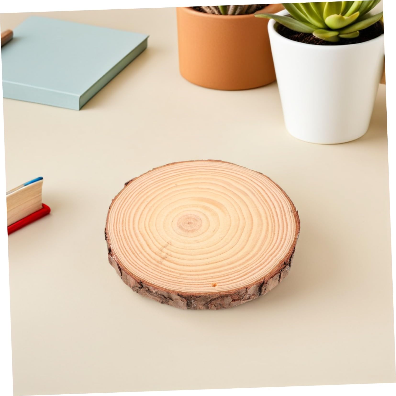 Veemoon 5 Stück Teiliges Runde Holzscheiben Ø Naturbelassen mit Rinde Stabile Kiefern holzscheiben für DIY Basteln Malen Tischdeko Untersetzer Vielseitig für Hochzeit und Wohnaccessoires