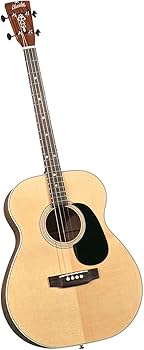 Blue Ridge アコースティックギター Amazon | Blueridge BR-40T コンテンポラリーシリーズ テナー