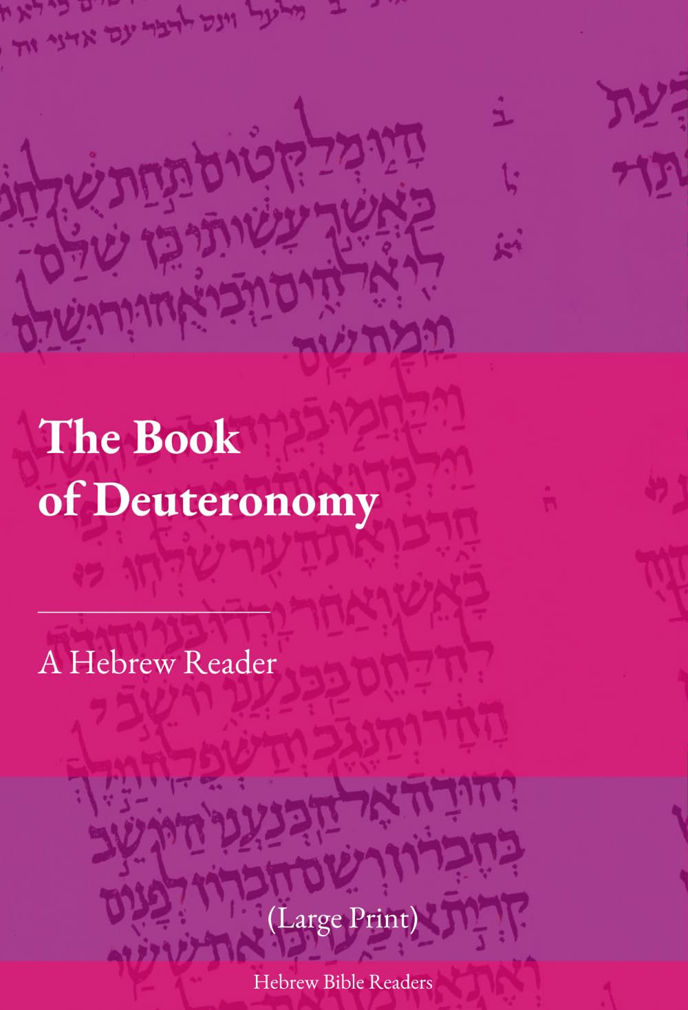 The Book of Deuteronomy: A Hebrew Reader (Large Print)