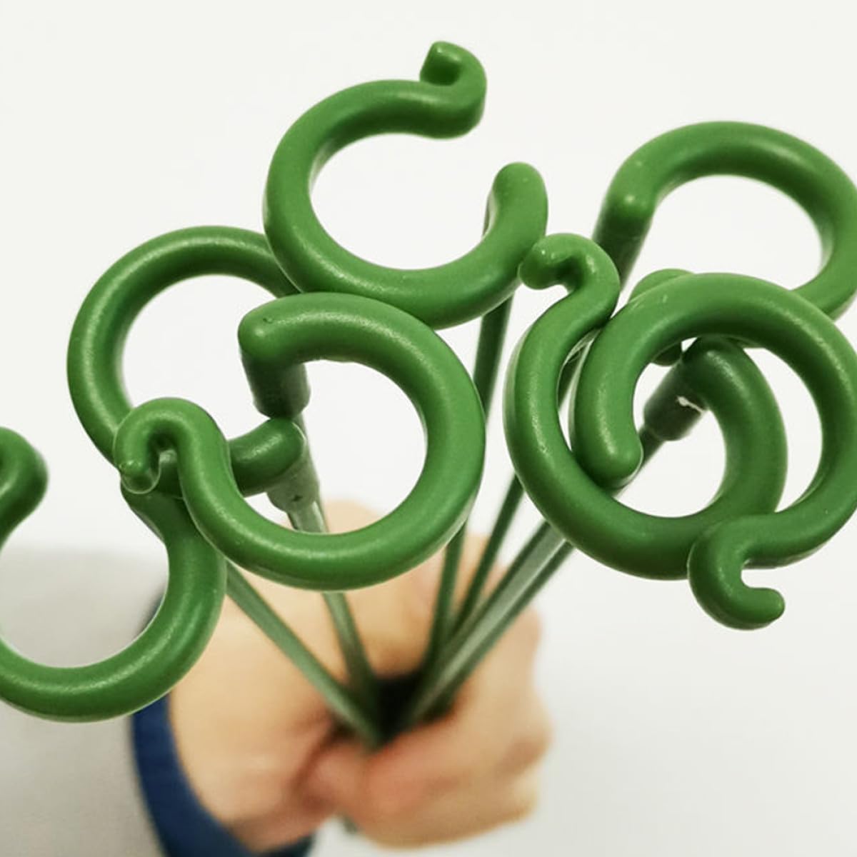 BESPORTBLE 60pièces Supports De Plantes Lot de Tuteurs pour Plantes Pot Piquets Résistant Aux Intempéries pour Fleurs Et Succulentes pour Bonsai