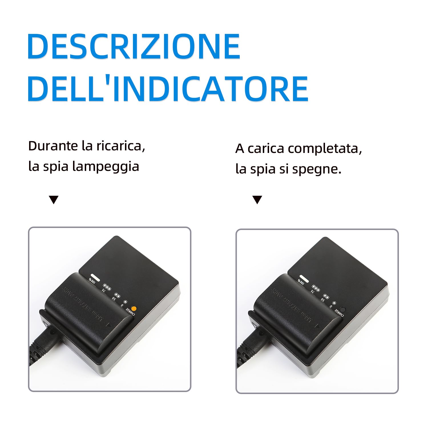 LP-E6 LP-E6N Caricabatterie Compatibile conCanon EOS, EOS R, 90D, 80D, 70D, 60D, 6D Mark II, 7D Mark II, 5D Mark IV, III, II, 5DS, 5DS R