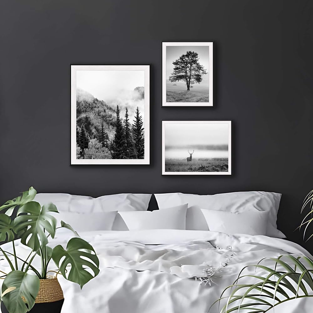 Allposters モノクロ 写真 額付き 73cm×73cm インテリア Amazon.com: SunFlax Natural Landscape Framed Wall Art - Mysterious