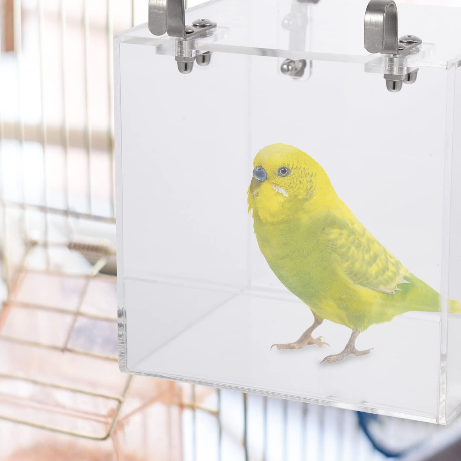 ULTECHNOVO Vogelbad Acryl Vogelbadebecken Duschbox Transparent Kompakt für Kleine Papageien und Finken Haustierbedarf Vogelkäfigzubehör