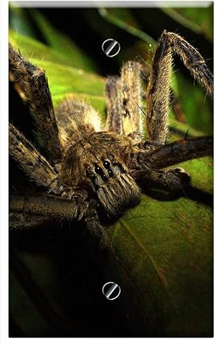 Single-Gang Blank Wall Plate Cover - Insects Nature Area Kettle Quindio 1