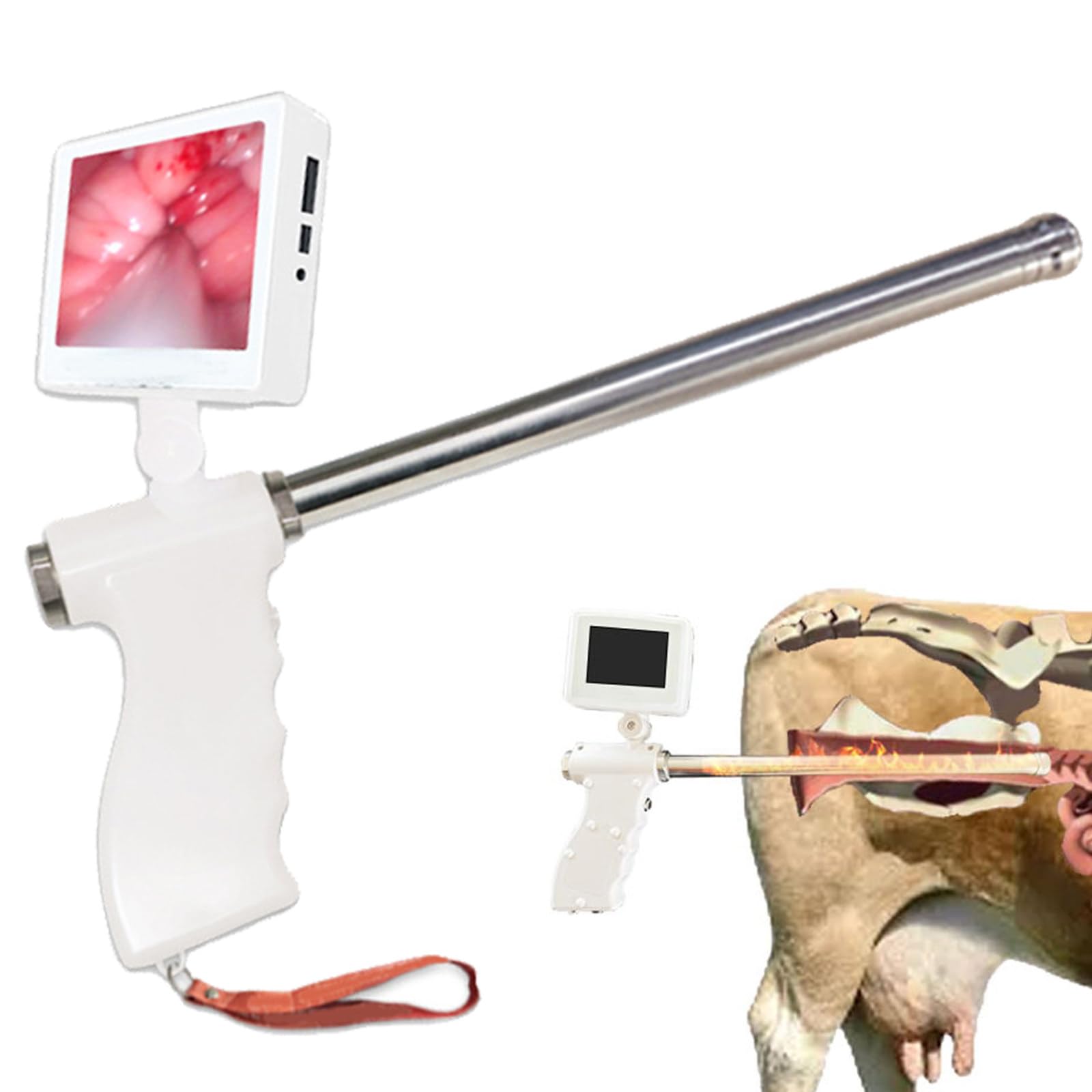 ylpddmm Artificial Insemination Kit, Insemination Kits for Cows Cattle, Cattle Large