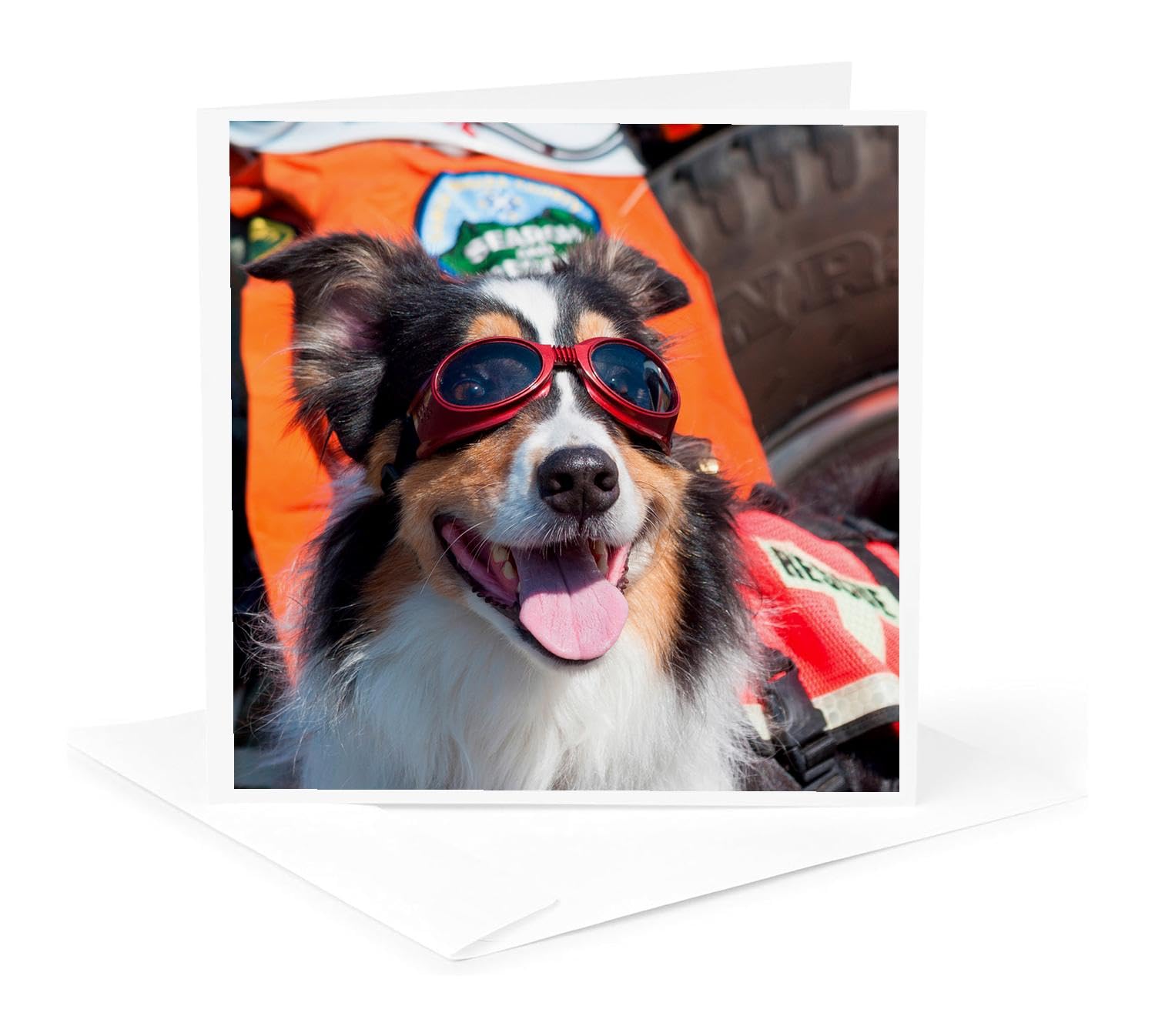 3dRose Greeting Card - Australian Shepherd search and rescue dog wearing goggles - Dogs