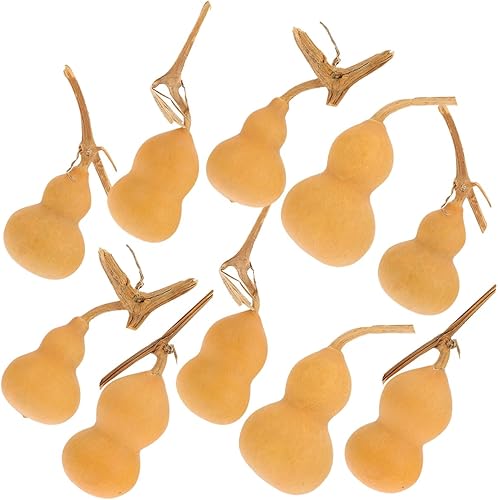 Miniatura 8 de 10 piezas de calabaza natural mini calabaza calabaza secas calabazas artesanías adornos de calabaza Hu Lu decoración de escritorio original calabaza