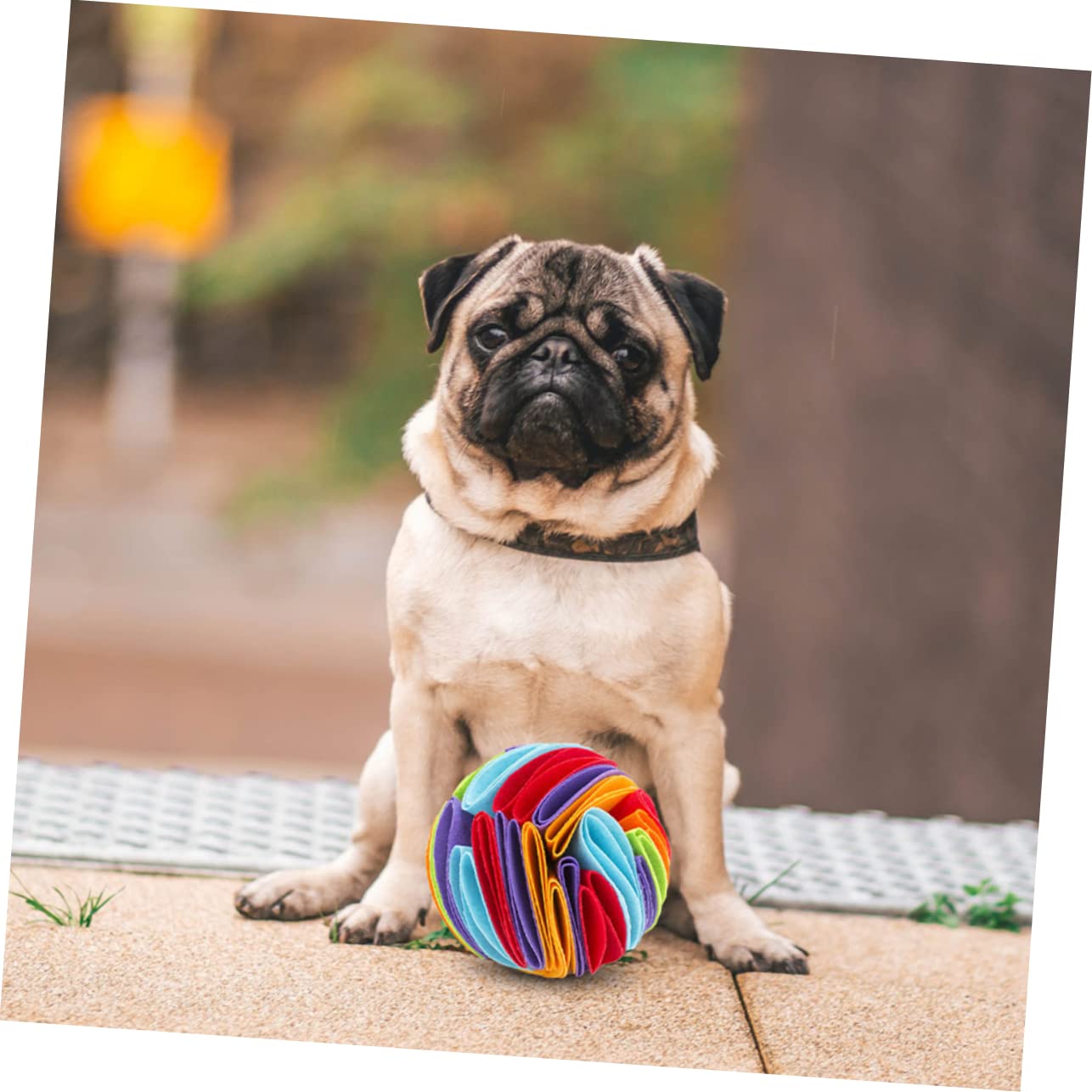 Toddmomy 4piezas Pelota De Olores para Perros Juguete Interactivo De Entrenamiento Estimula El y Controla La Alimentación De Diseño Resistente y Duradero para Perros Pequeños y Medianos