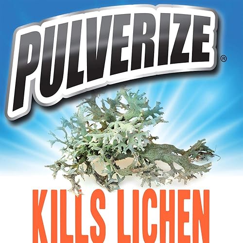 Miniatura 6 de Pulverize Spray no selectivo para matar malas hierbas y hierbas, acción rápida, no mancha, mata malezas y hierba de cangrejo - Botella de spray