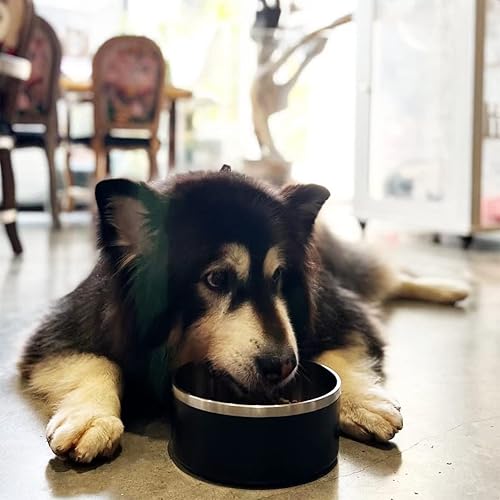 Miniatura 2 de Cuenco para perros para comida y agua, cuenco de alimentación de mascotas de acero inoxidable de 64 onzas, duradero, antideslizante, doble pared,