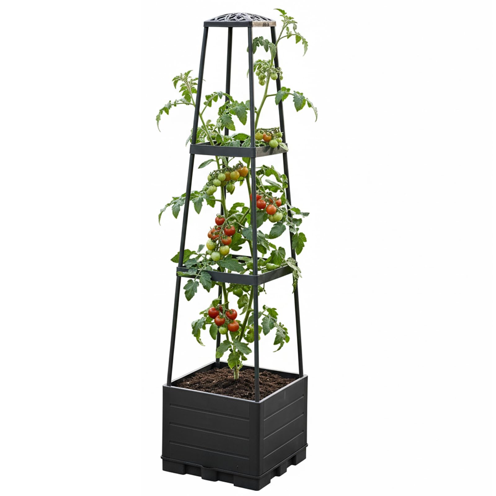 Treillis pour plantes grimpantes et jardinière à tomates 3 niveaux pour légumes