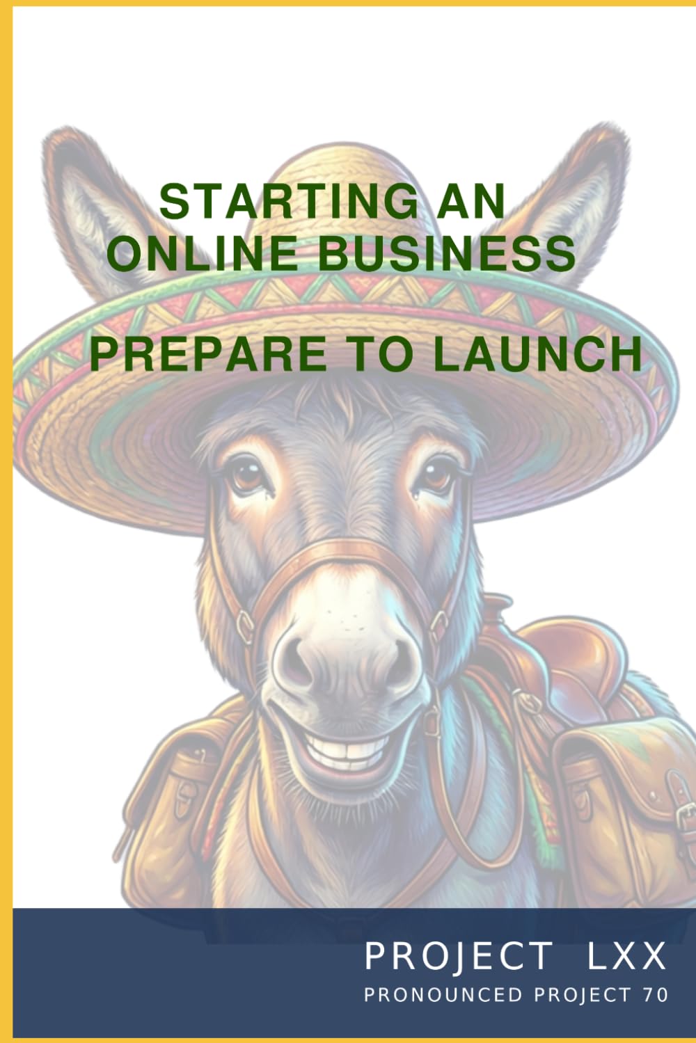 Starting an Online Business: Prepare to launch.