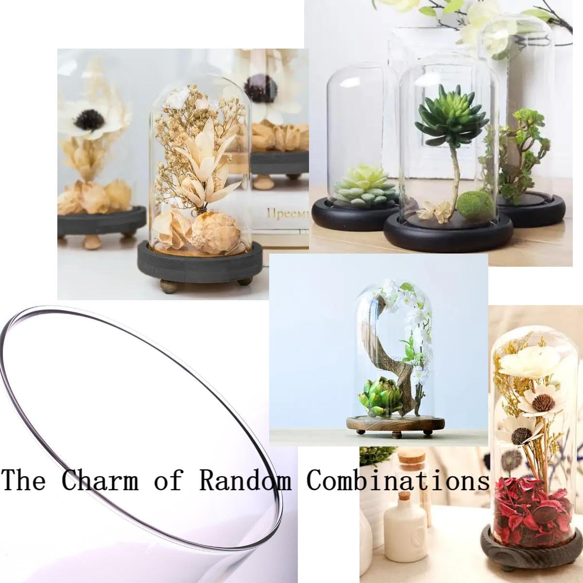 Cloche en verre de bois Nature & Découvertes - Décoration Cloche en verre de bois Nature & Découvertes - Décoration