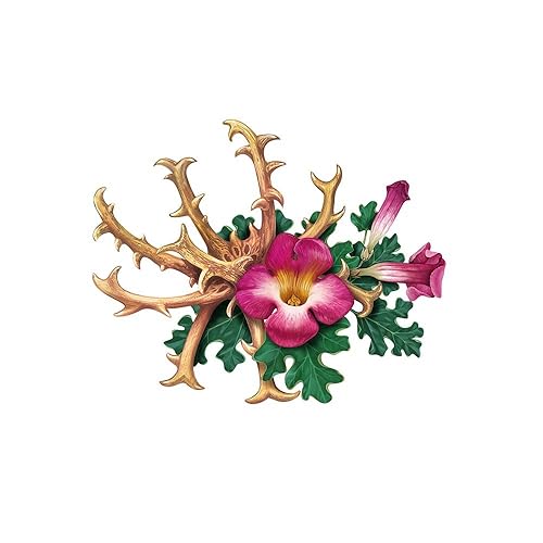 Miniatura 4 de Biokoma Corte seco de raíz de garra de diablo pura y natural, 3.55 onzas (3.53 oz) en bolsa resellable a prueba de humedad