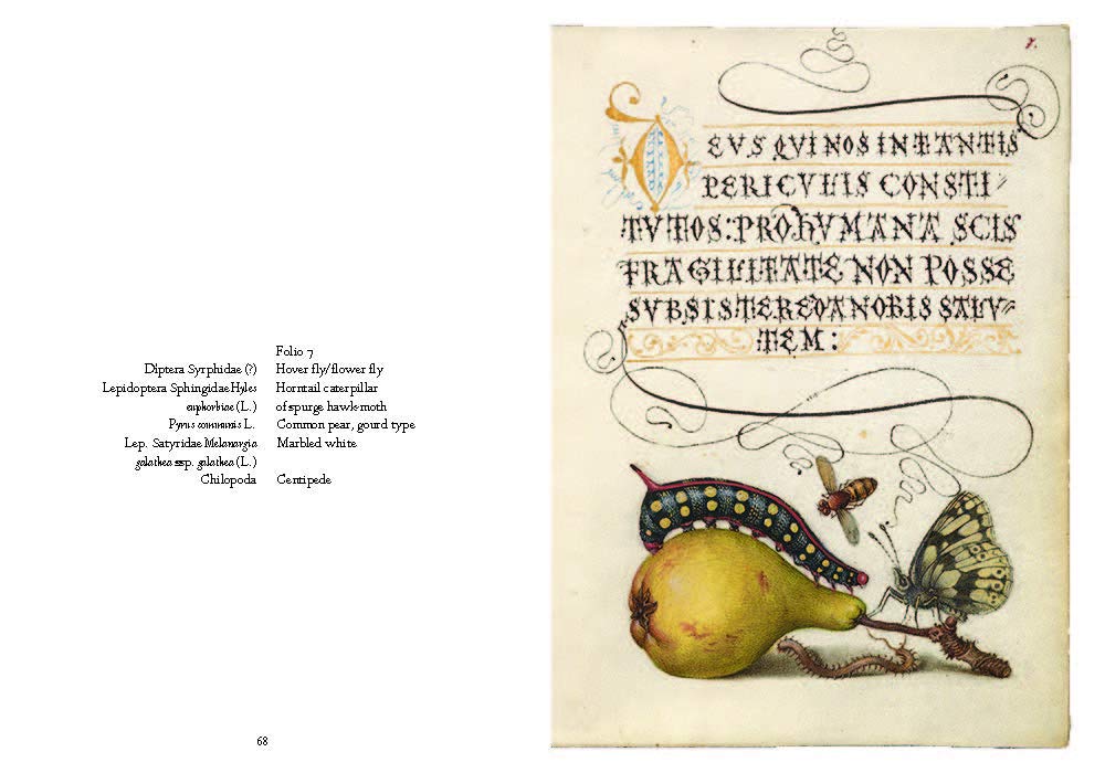 Mira Calligraphiae Monumenta: A Sixteenth-Century Calligraphic Manuscript Inscribed by Georg Bocskay and Illuminated by Joris Hoefnagel