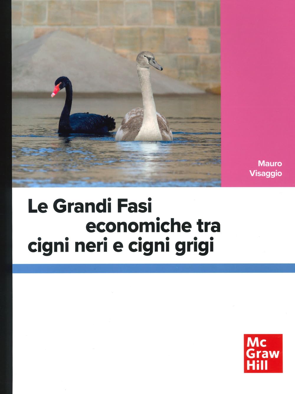 Le Grandi Fasi Economiche Tra Cigni Neri E Cigni Grigi - 4