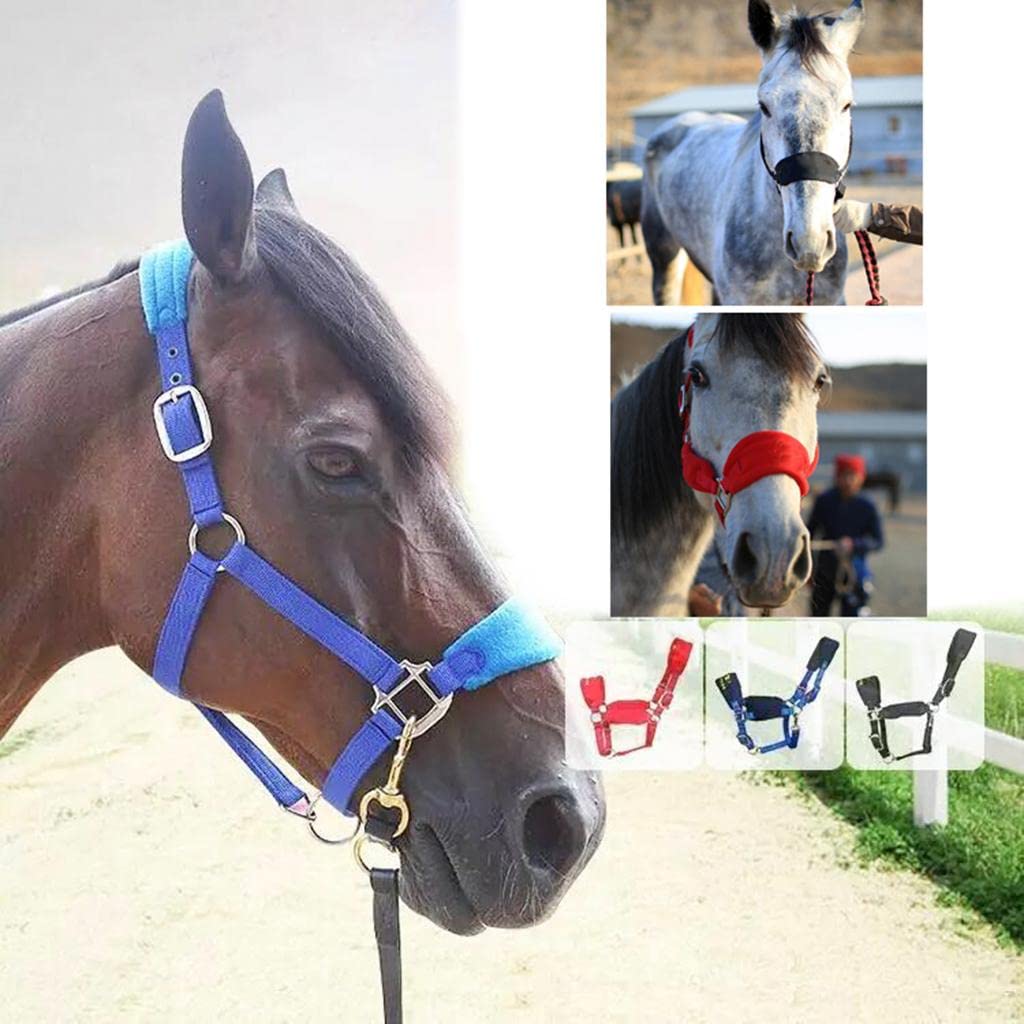 Cabezada Acolchada Suave para Caballos