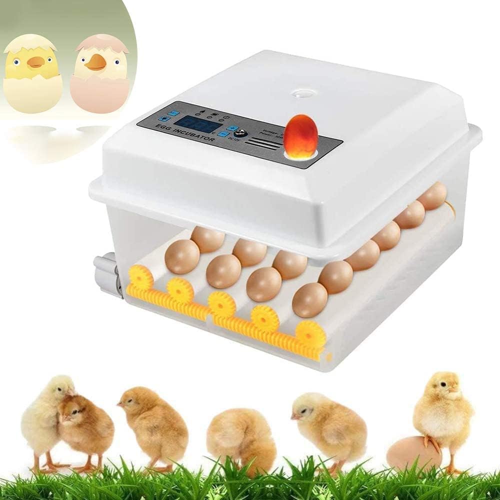 Digital Egg Incubator 16 Eggs Home Use Automatic Hatcher Temperature Control & Automatic Turning for Multiple Sizes of Eggs