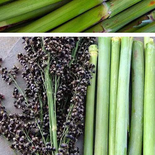 AGROBITS 3A34 A7C7 professionnel de Fe facile re ing Ju Cover