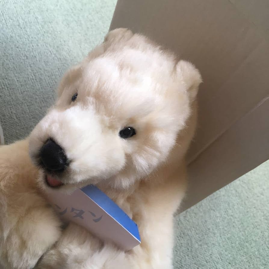 レア☆Chitty Chat Bears アイスクリーム くま ぬいぐるみ 新品 楽天市場】ぬいぐるみ ふわふわ くま 動物 [ Whippy's Bear