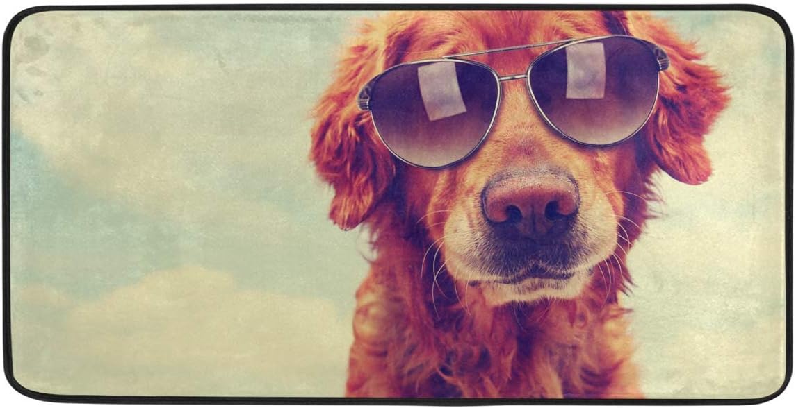 HZLM Felpudos alfombras de baño para exteriores/interiores de la puerta, playa, Golden Retriever para perro, gafas de sol para el piso de la alfombra para la sala de estar