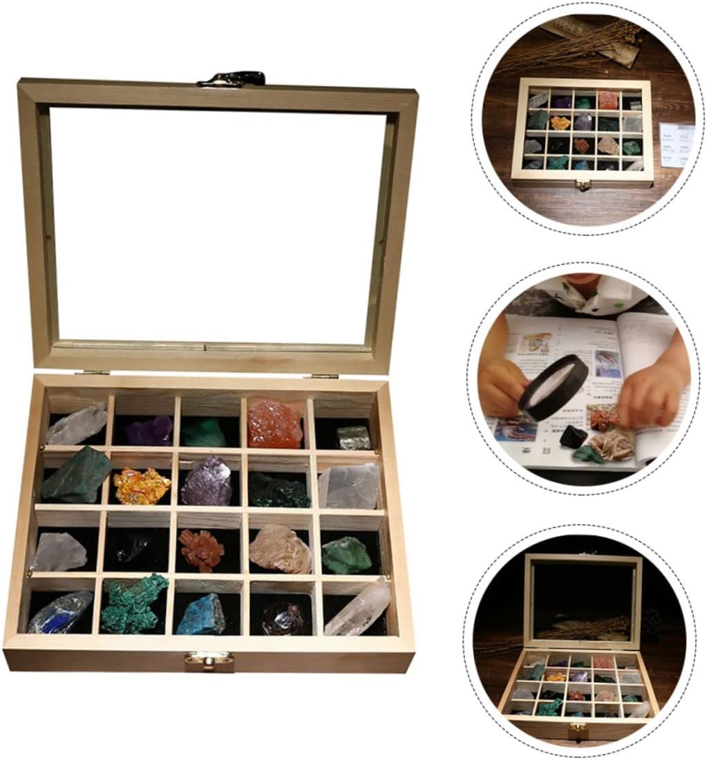 GARVALON 20pcs Natural Mineral Stone Specimens Collection Box for Educational Use Irregular Beautiful Ores for Science Teaching and Home Decoration