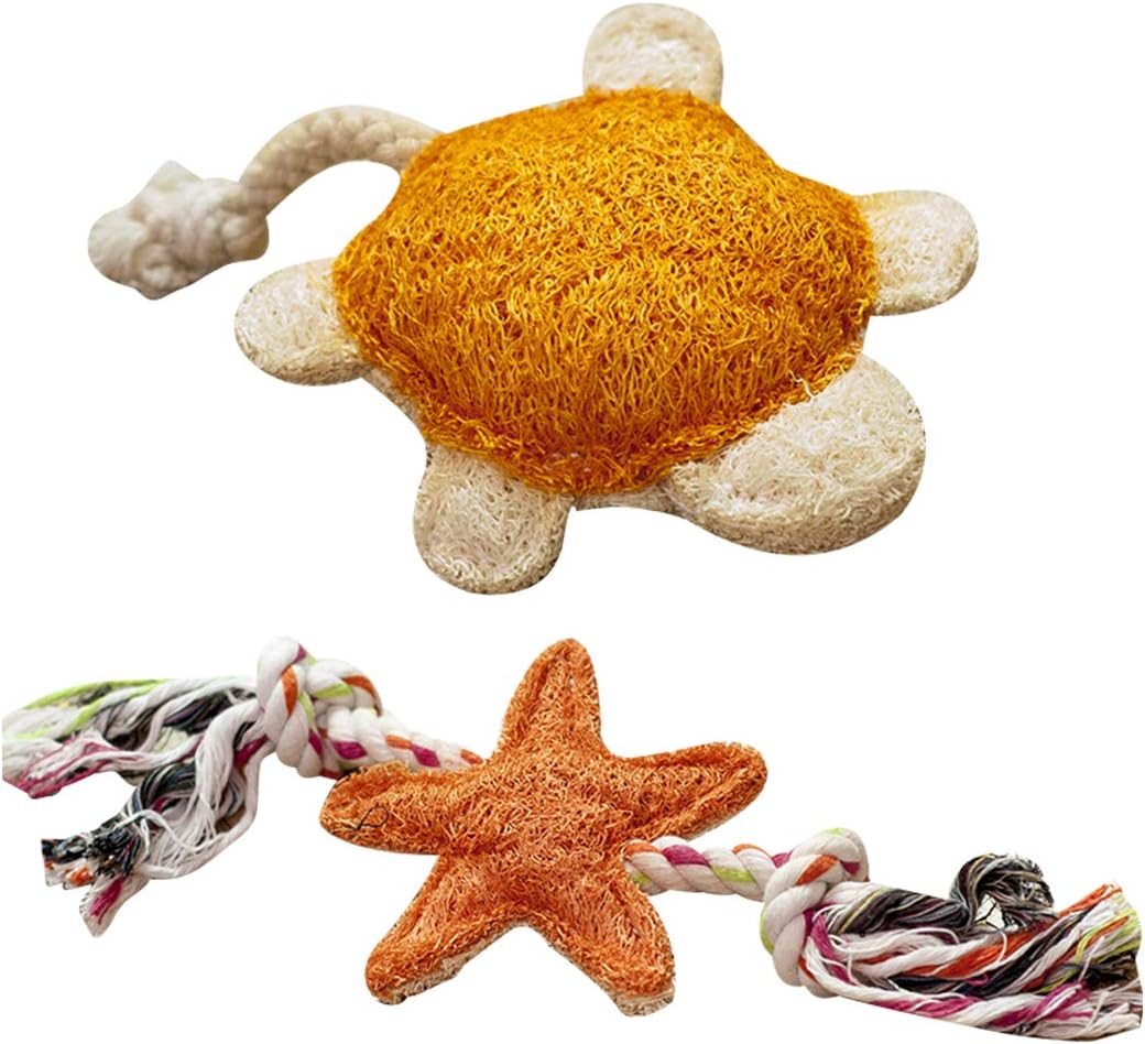 mastice per masticare