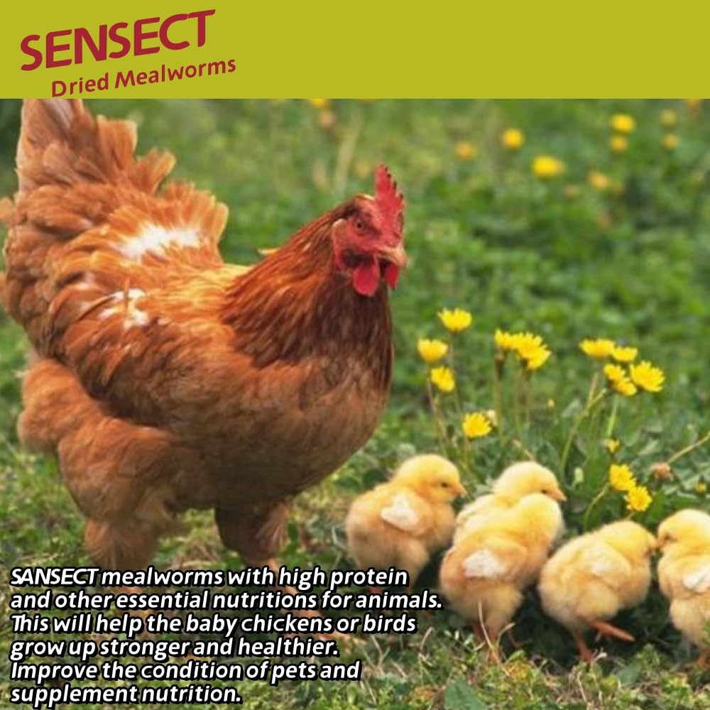 SANSECT 2,3 kg di vermi secchi per polli, anatre, uccelli selvatici, cibo per rettili | Dolcetti ad alto contenuto proteico, 100% naturali, non OGM, per polli, anatre, tartarughe e rettili e galline ovaiole