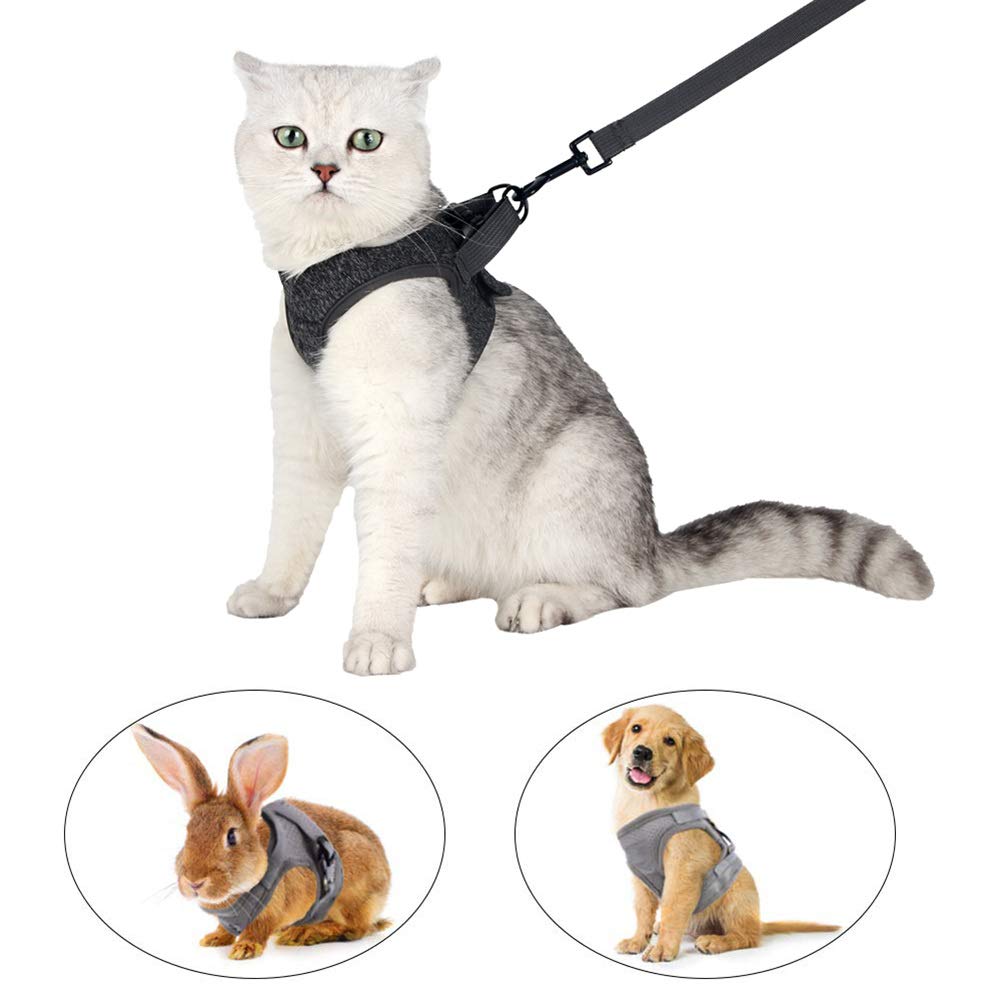Cat Harness Leash Straps Soft and Comfortable Cat Walking Jacket with Running Cushioning and Escape Proof for Puppies with Cationic Fabric — view 5