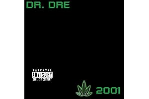 Kendrick Lamar vinyl - DAMN.