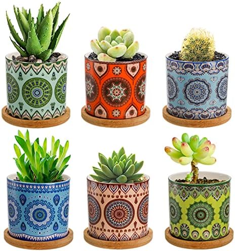Peohud 6 Pack Ceramic Succulent Planter Pots, 7.5cm Mini Flower Cactus Pot with Drainage Hole and Bamboo Tray for All House, Indoor, Outdoor Garden