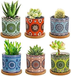 Peohud 6 Pack Ceramic Succulent Planter Pots, 7.5cm Mini Flower Cactus Pot with Drainage Hole and Bamboo Tray for All House, Indoor, Outdoor Garden