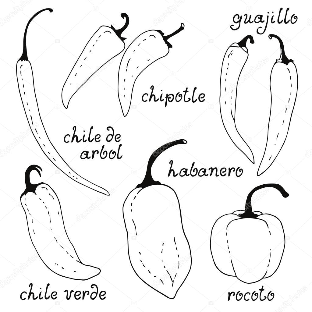 2x Dry Chilli Guajillo 300g