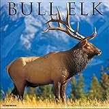 Bull Elk 2017 Wall Calendar