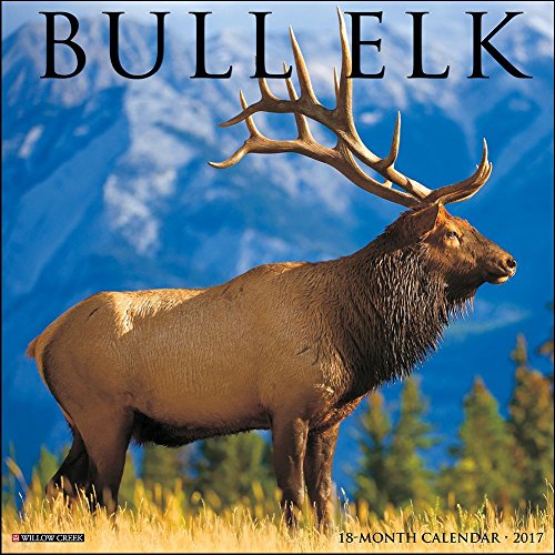Bull Elk 2017 Wall Calendar