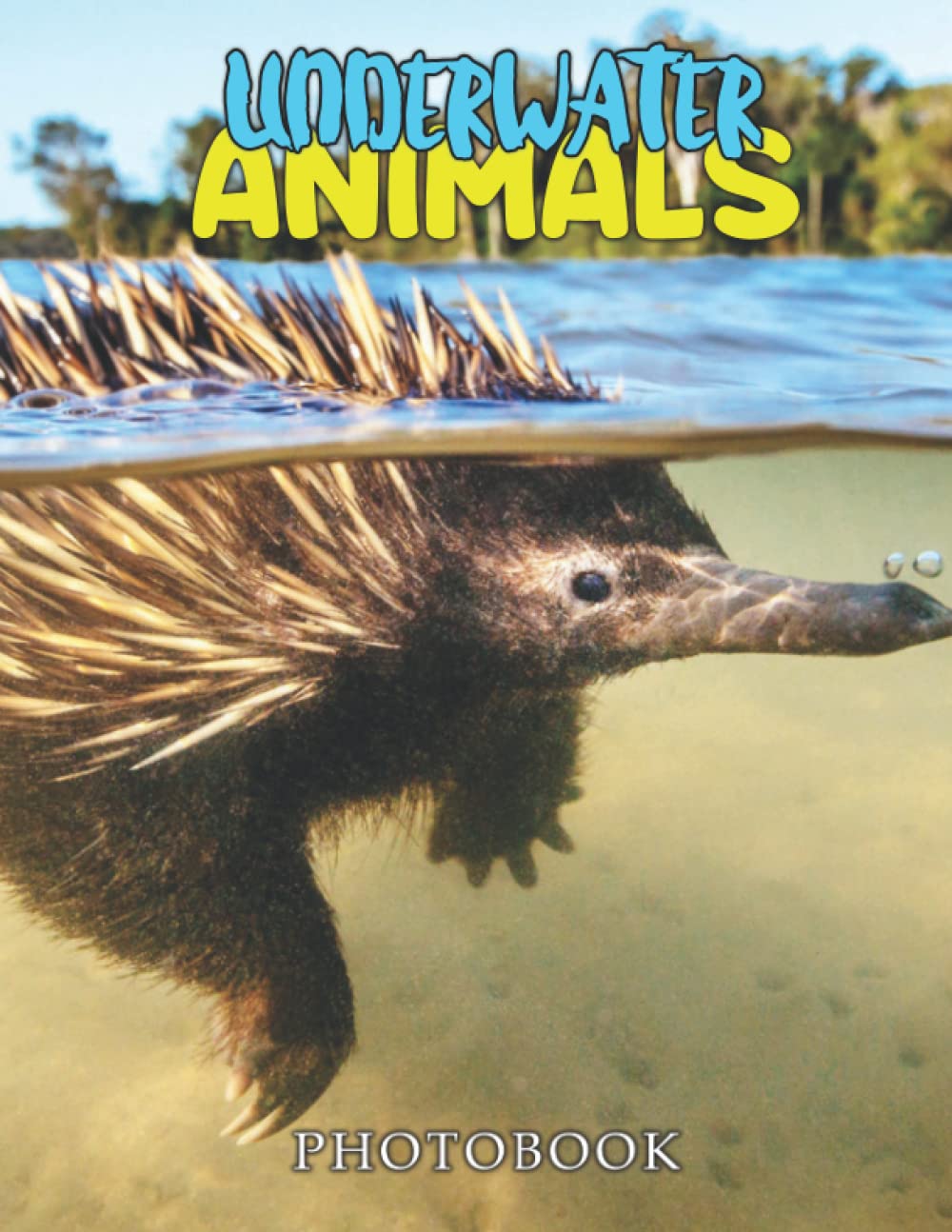 Underwater Animals Photobook: 30+ Pictures Of Animals Having A Great Time Bathing