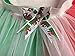 Price comparison product image Honey B's St David's Day Welsh Dragon Tutu Green Red White Wales Rugby 12" Length (Women: One Size)