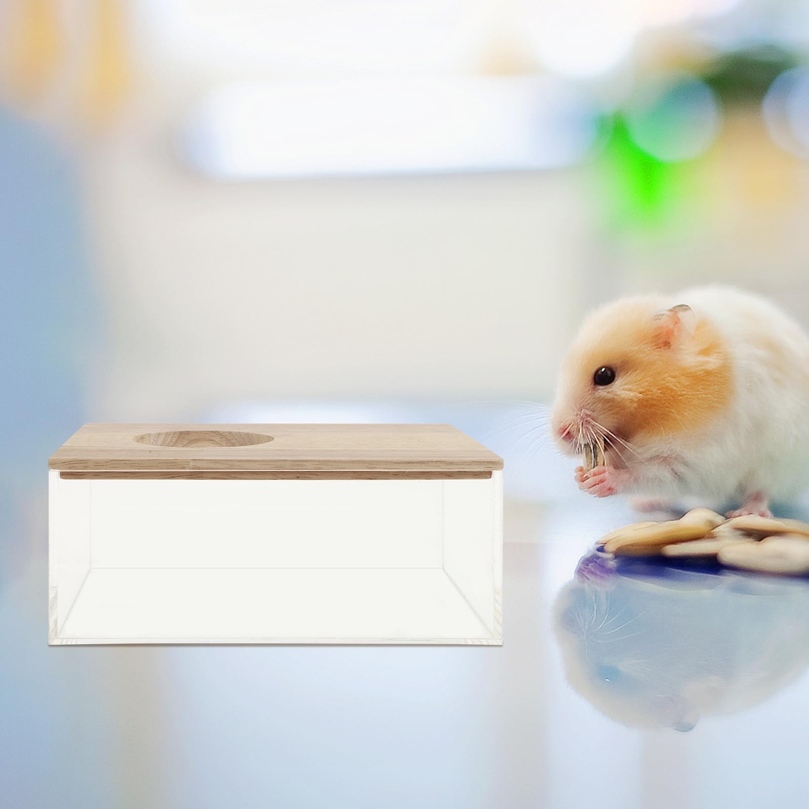 Dekorative Chinchilla Badewanne Multifunktionales Sandbad Transparente Box