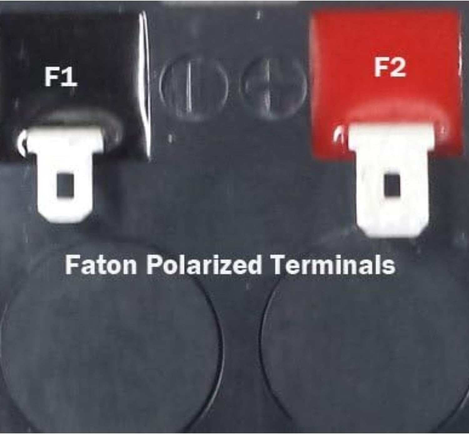 Close-up of F1 and F2 battery terminals for comparison