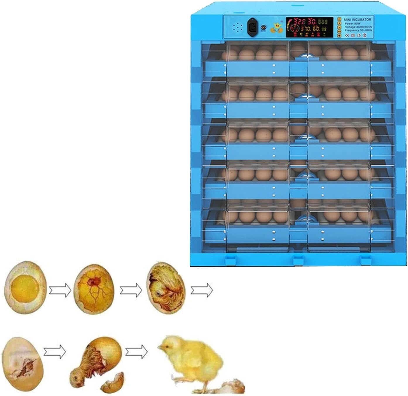 Inkubator cyfrowy Inkubator do jaj 320 Sterowanie temperaturą jednym dotknięciem(Dual power supply)