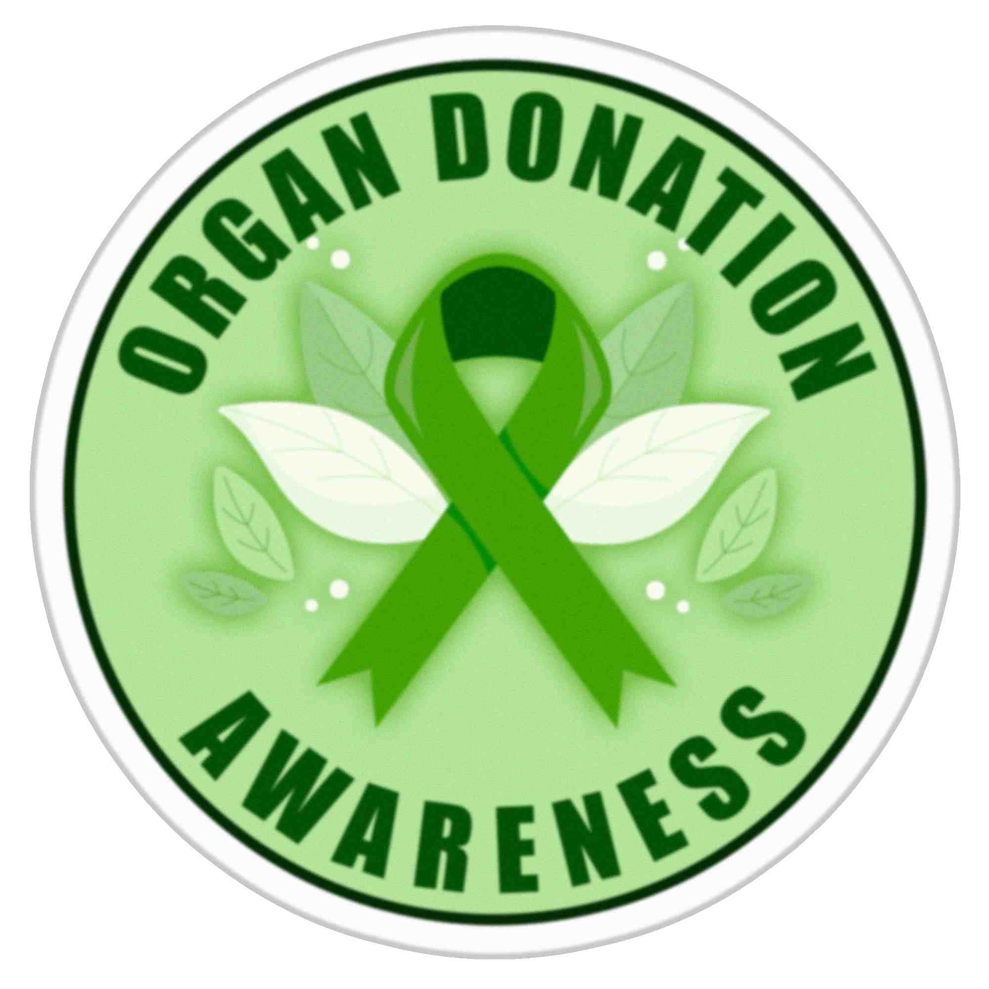 Organ Donation Awareness Ribbon Ribbon Symbol Stock Vector.