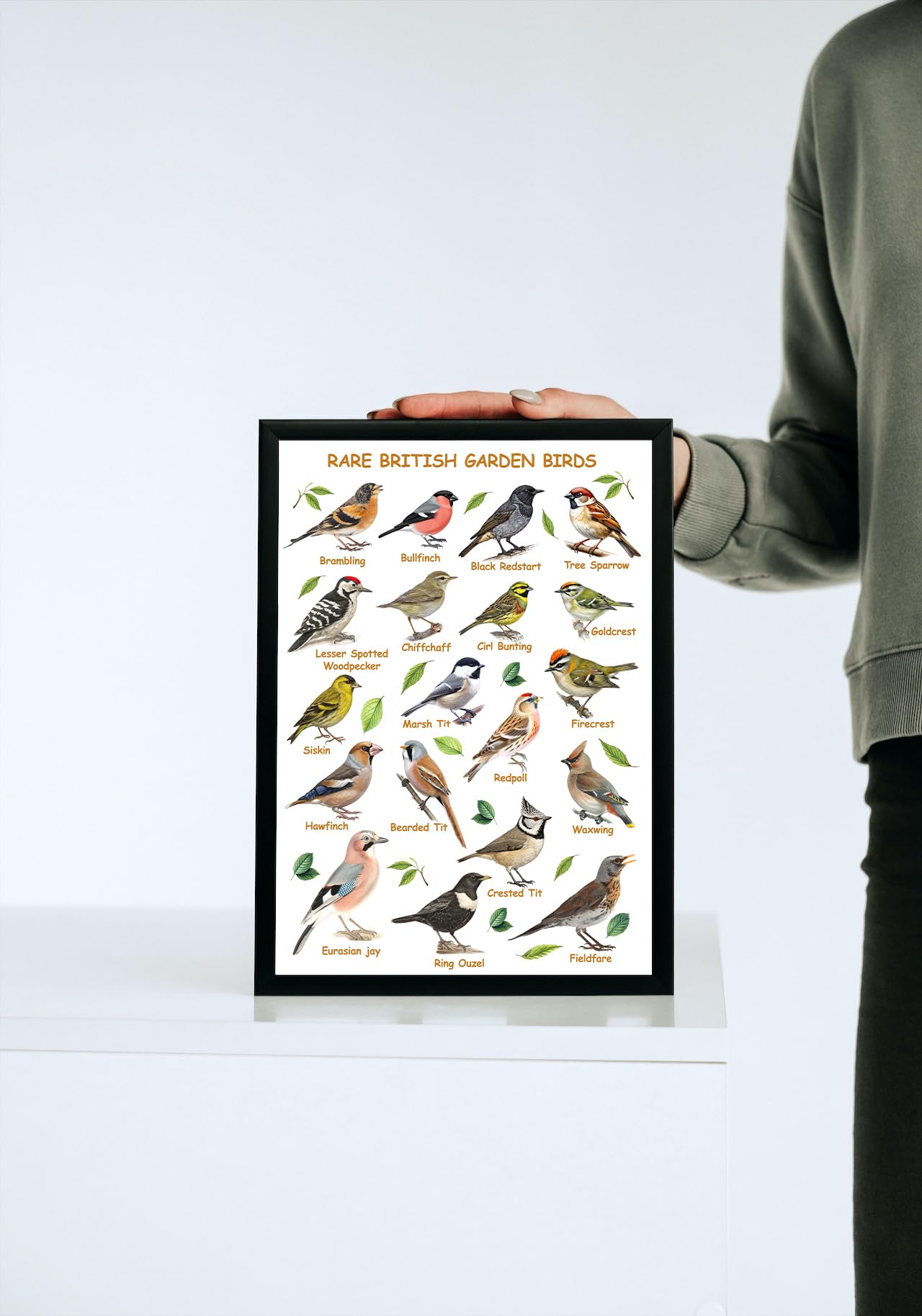View 2