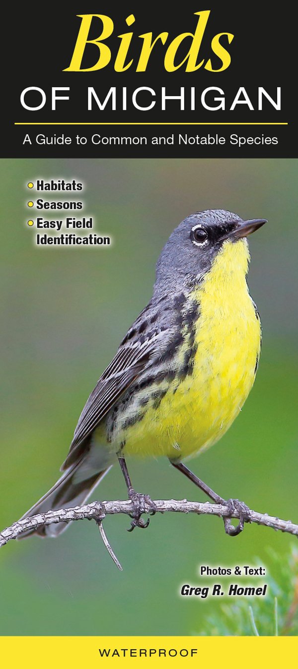 Birds of Michigan: A Guide to Common and Notable Species: Greg R. Homel ...