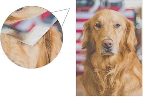 Miniatura 8 de BlueViper Golden Retriever - Bandera de jardín de perro de 12 x 18 pulgadas, bandera decorativa de jardín para césped y jardín al aire libre,