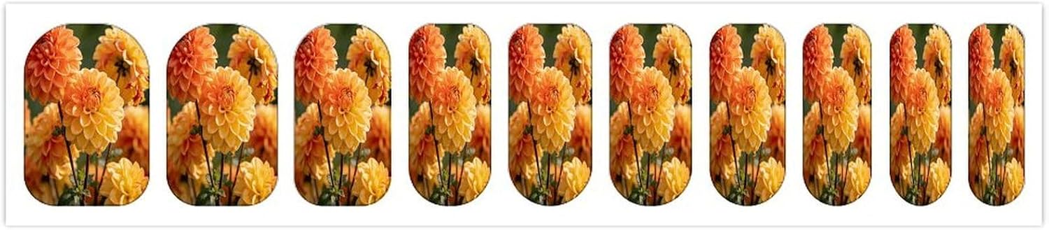 ChrysanthemumSummer Nail Stickers Nail Strips | Nail Art Stickers of 10 sets with decorate fingernails,toenails,artificial nails Full Cover Easy On-Off Non-Damaging